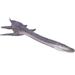 Attenborosaurus — Jurassic World Evolution 2 Max Species Release Animation option 12