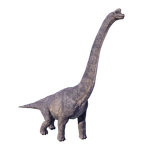 Brachiosaurus — Jurassic World Evolution 2 Max Species Release Animation option 16