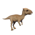 Homalocephale — Jurassic World Evolution 2 Max Species Release Animation option 50