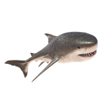 Megalodon — Jurassic World Evolution 2 Max Species Release Animation option 65