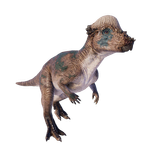 Pachycephalosaurus — Jurassic World Evolution 2 Max Species Release Animation option 81