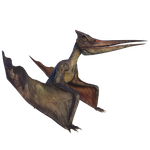 Pterodon — Jurassic World Evolution 2 Max Species Release Animation option 88