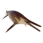 Shonisaurus — Jurassic World Evolution 2 Max Species Release Animation option 95