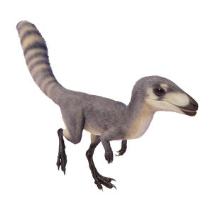 Sinosauropteryx — Jurassic World Evolution 2 Max Species Release Animation option 97