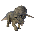 Triceratops — Jurassic World Evolution 2 Max Species Release Animation option 113