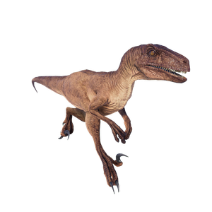 Velociraptor — Jurassic World Evolution 2 Max Species Release Animation option 120