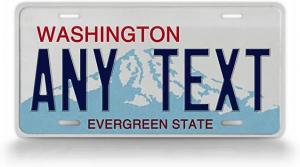 16lp0vtab08rdcxcwrohhg — Every US License Plate option 6