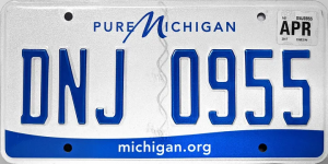 17wztngrufwebajfbsq0acq — Every US License Plate option 8