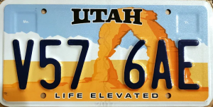 1bilq8fiuuuoglvwmfqc9xa — Every US License Plate option 10