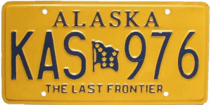 1bvbyim3w2llbedfdktmdjg — Every US License Plate option 11