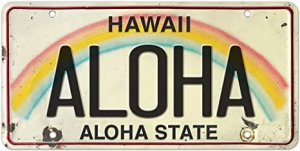 1gmwamzot3qr3cnfgnjtxw — Every US License Plate option 17