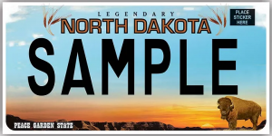1gqw3 D 2kx2 Zw3yzof6ta — Every US License Plate option 18