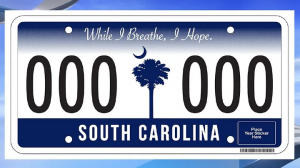 1h20lf2krgszvisqoas2ha — Every US License Plate option 19