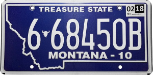 1s1eja0nzizjrq0amkeik6w — Every US License Plate option 34