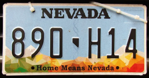 1tisiptz7kideokuqwooea — Every US License Plate option 41
