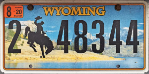 1u1k5xdeapuluxmaooqdjsg — Every US License Plate option 42