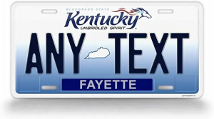 1xd119rhqtlr6 0a0cpgqrw — Every US License Plate option 47
