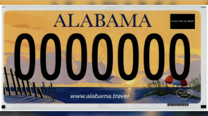 Bluebackground 2 — Every US License Plate option 50