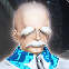 Aratron — PSO2 NPC Tier List option 8