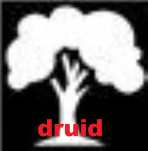 Druid — rpg classes expanded option 8