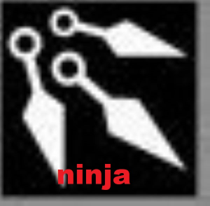 Ninja — rpg classes expanded option 17