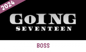 Zzzzz 1733748459boss — Going Seventeen Gose All Episodes 2019 - 2024 (Updated 12/9) option 106
