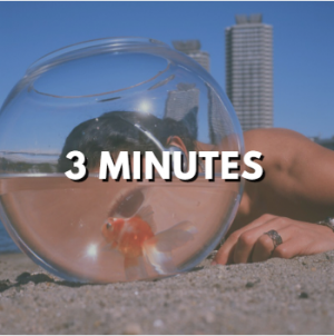 3 Minutespng — La plage - Moha MMZ option 1