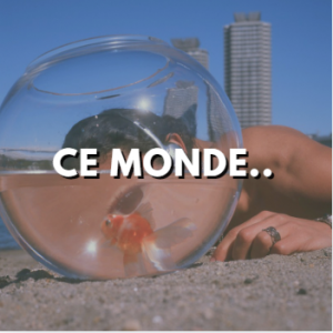 Ce Mondepng — La plage - Moha MMZ option 5