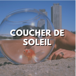 Coucher De Soleilpng — La plage - Moha MMZ option 7