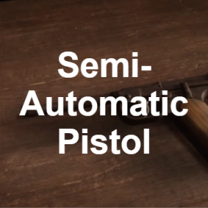 RDR2 Weapons — option 12