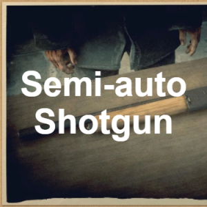 RDR2 Weapons — option 14