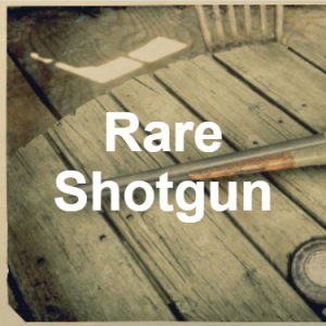 RDR2 Weapons — option 16