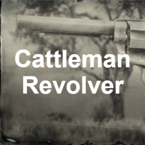 Image 11 — RDR2 Weapons option 49