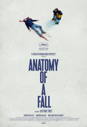 Anatomyofafall — All 2024 Oscar Nominated Films option 4