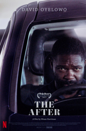 Theafter — All 2024 Oscar Nominated Films option 41
