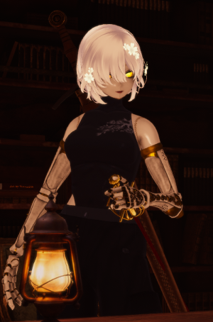 Zzzzz 1744070679ash — Aether Char Tiers option 72