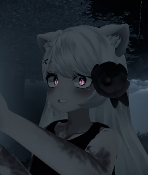 Zzzzz 1750363202vrchat2025 05 0902 38 485001920x1080 — Aether Char Tiers option 110
