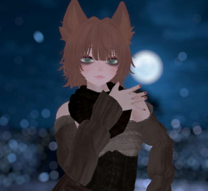 Zzzzz 175553521620250818101056 — Aether Char Tiers option 128