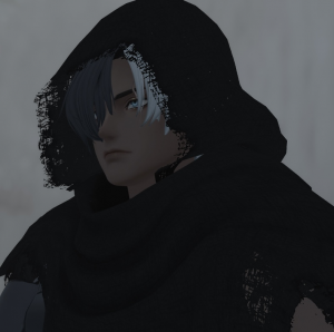 Zzzzz 1767230869vrchat2025 11 2015 13 257631920x1080 — Aether Char Tiers option 149