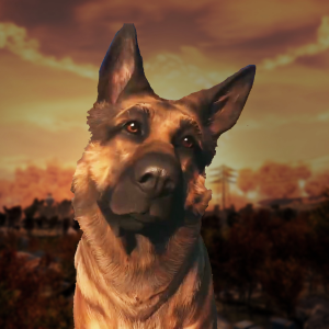 Zzzzz 1777528144dogmeat Header — Wasted Crater option 29