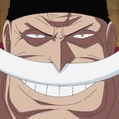 7721c891 4711 4e91 827e 17e484b4bcfa — One Piece PS DL option 45