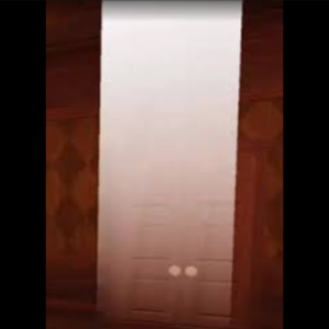 Img20240316161758 — ALL DOORS ENTITIES option 24