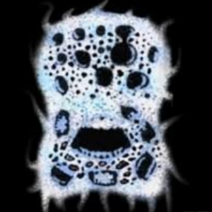 Img20240316162352 — ALL DOORS ENTITIES option 32