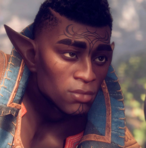 Dragon 13 — Dragon Age Veilguard companions and some characters option 11