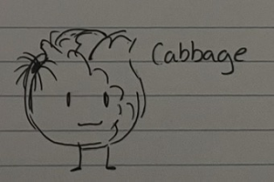 Mini S6 Signup Cabbage — Camp SMACK Mini Season 6 option 7