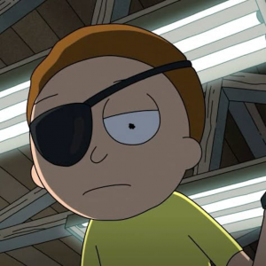 Zzzzz 1786138889evil Morty — EarthSOSC's Random Character Voting option 26
