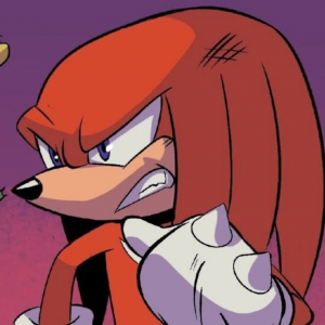 Zzzzz 1786138889knuckles — EarthSOSC's Random Character Voting option 30