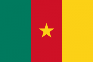 Flagofcameroonsvg — Ranking of Islamic Countries option 13