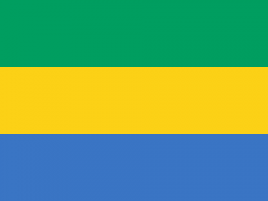 Flagofgabonsvg — Ranking of Islamic Countries option 17