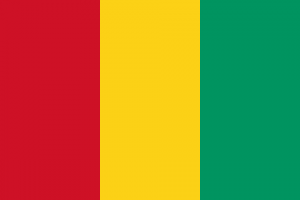 Flagofguineasvg — Ranking of Islamic Countries option 19